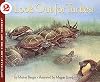 Look Out for Turtles!