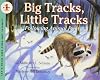 Big Tracks, Little Tracks: Following Animal Prints