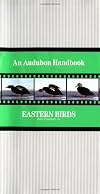Eastern Birds