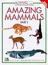 Amazing Mammals Part I