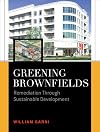 Greening brownfields : remediation through sustainable development