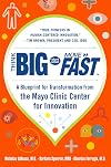 Think Big, Start Small, Move Fast: A Blueprint for Transformation from the Mayo Clinic Center for Innovation