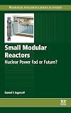 Small modular reactors : nuclear power fad or future?