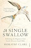 A Single Swallow