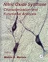 Nitric Oxide Synthase: Characterization and Functional Analysis, Volume 31 (Methods in Neurosciences)
