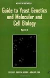 Guide to Yeast Genetics and Molecular and Cell Biology, Part B (Volume 350) (Methods in Enzymology, Volume 350)