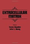 Extracellular matrix