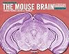 Paxinos and Franklin's the Mouse Brain in Stereotaxic Coordinates, Fourth Edition