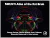 MRI/DTI atlas of the rat brain