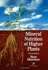Mineral Nutrition of Higher Plants, Second Edition (Special Publications of the Society for General Microbiology)