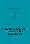 Projective Geometry and Algebraic Structures