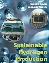 Sustainable Hydrogen Production