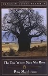 The Tree Where Man Was Born