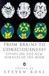 From Brains to Consciousness? (Allen Lane Science)