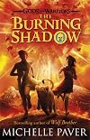The Burning Shadow
