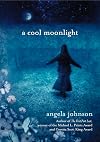 A Cool Moonlight