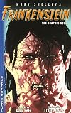 Mary Shelley's Frankenstein: The Graphic Novel (Puffin Graphics)