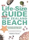 Life-size Guide to the New Zealand Beach, The (Life-size Guide S.)
