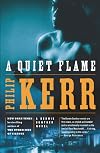 A Quiet Flame