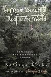 The Most Beautiful Roof in the World: Exploring the Rainforest Canopy