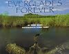 Storytown: Challenge Trade Book Story 2008 Grade 4 Everglades Forever