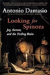 Looking for Spinoza: Joy, Sorrow, and the Feeling Brain