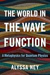 The World in the Wave Function: A Metaphysics for Quantum Physics