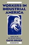 Workers in Industrial America: Essays on the Twentieth Century Struggle
