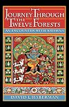 Journey through the Twelve Forests: An Encounter with Krishna