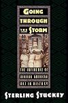Going through the Storm: The Influence of African American Art in History