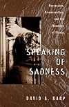 Speaking of Sadness: Depression, Disconnection, and the Meanings of Illness