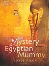 The Mystery of the Egyptian Mummy
