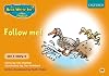 Read Write Inc. Phonics: Orange Set 4 Storybooks: Follow Me!