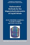 Mathematical Methods for the Magnetohydrodynamics of Liquid Metals