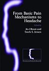 From Basic Pain Mechanisms to Headache