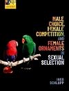 Male Choice, Female Competition, and Female Ornaments in Sexual Selection