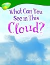 Oxford Reading Tree: Stage 12: TreeTops Non-Fiction: What Can You See in This Cloud?