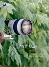 Tort Law Directions