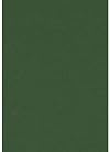 Discoveries in the Judaean Desert. Volume XXXVIII: Miscellaneous Texts from the Judaean Desert