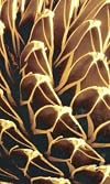 Instabilities and self-organization in materials