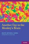 Another day in the monkey's brain