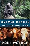 Animal Rights: What Everyone Needs to Know