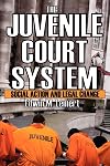 The juvenile court system : social action and legal change