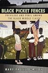 Black Picket Fences: Privilege and Peril Among the Black Middle Class