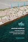 Chemically Imbalanced: Everyday Suffering, Medication, and Our Troubled Quest for Self-Mastery