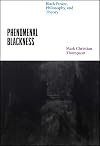 Phenomenal Blackness: Black Power, Philosophy, and Theory (Thinking Literature)