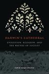 Darwin's Cathedral: Evolution, Religion, and the Nature of Society