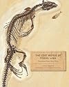The Lost World of Fossil Lake: Snapshots from Deep Time