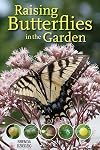 Raising Butterflies in the Garden