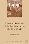 Peaceful Islamist Mobilization in the Muslim World: What Went Right
